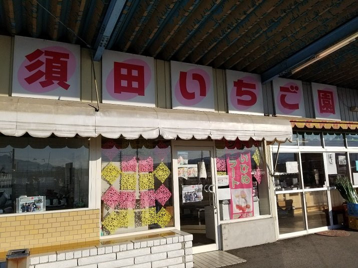 Suda Strawberry Farm-涩川市必去景点
