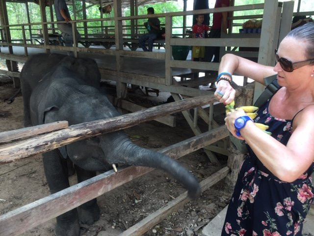 Elephant Adventure Village-旺阳必去景点