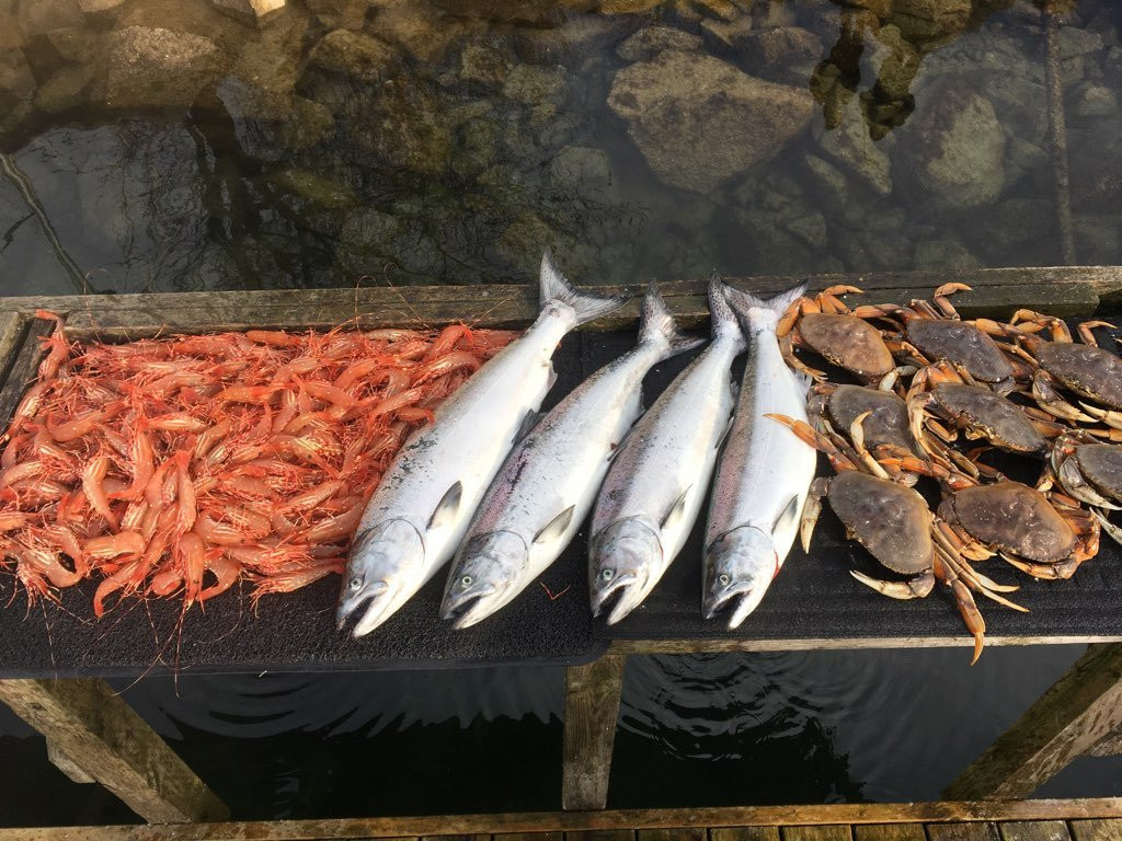 Bon Chovy Fishing Charters景点图片