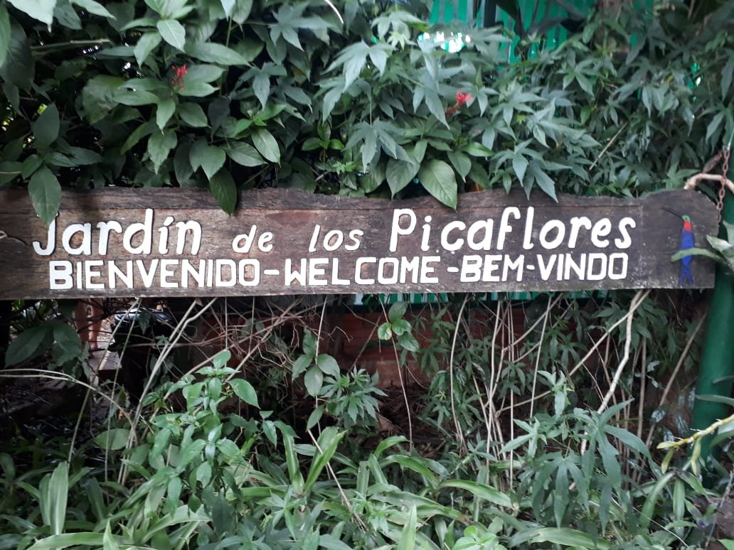 Jardin de los Picaflores景点图片