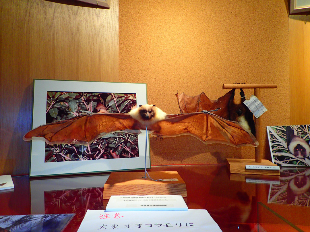 Kitadaito-son Folk Museum景点图片