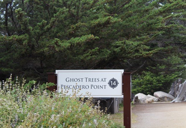 Ghost Tree景点图片