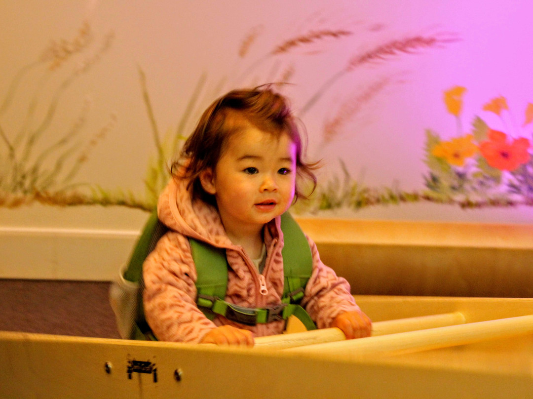 Santa Cruz Children's Museum of Discovery景点图片