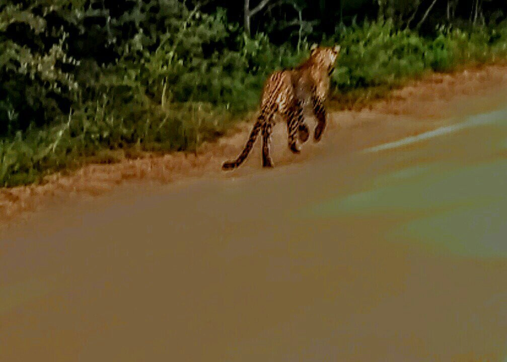 The Rock Hotel主图