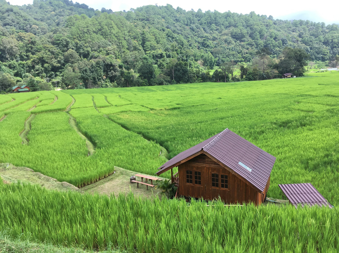 Mae Klang Luang Hill