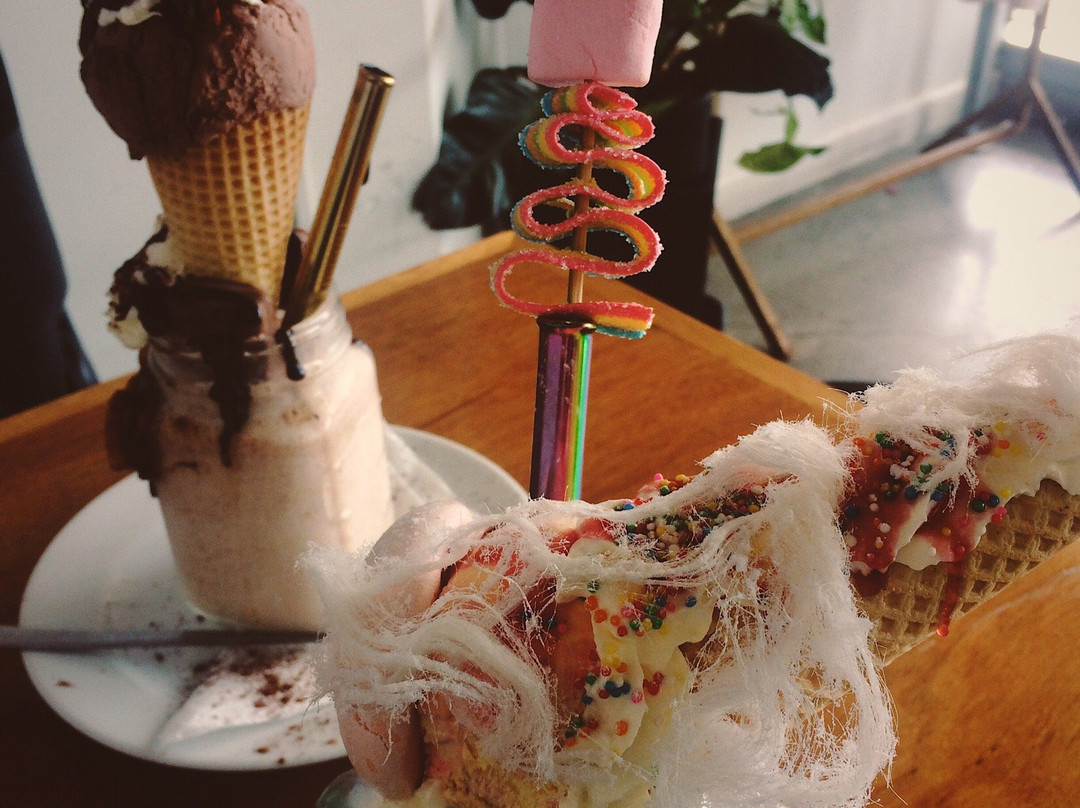 The Enormous Crocodile Company-惠灵顿必去景点