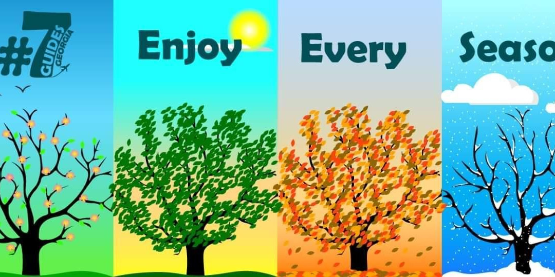 Seven Guides-第比利斯必去景点