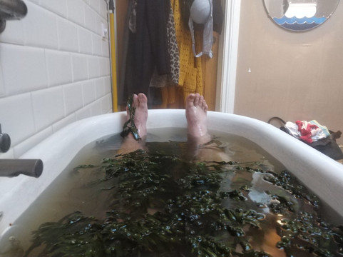 Soak Seaweed Baths-纽卡斯尔必去景点