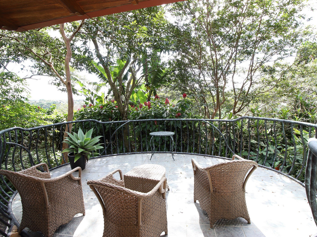 芬卡罗莎布兰卡咖啡种植园及酒店主图