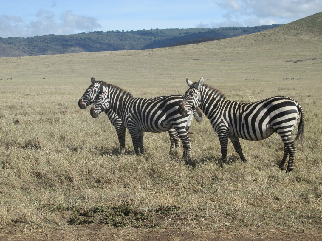 Let's View Tanzania-乞力马扎罗山国家公园必去景点