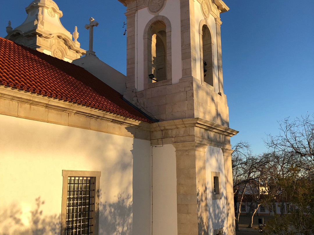 Montebelo Vista Alegre Ilhavo Hotel主图