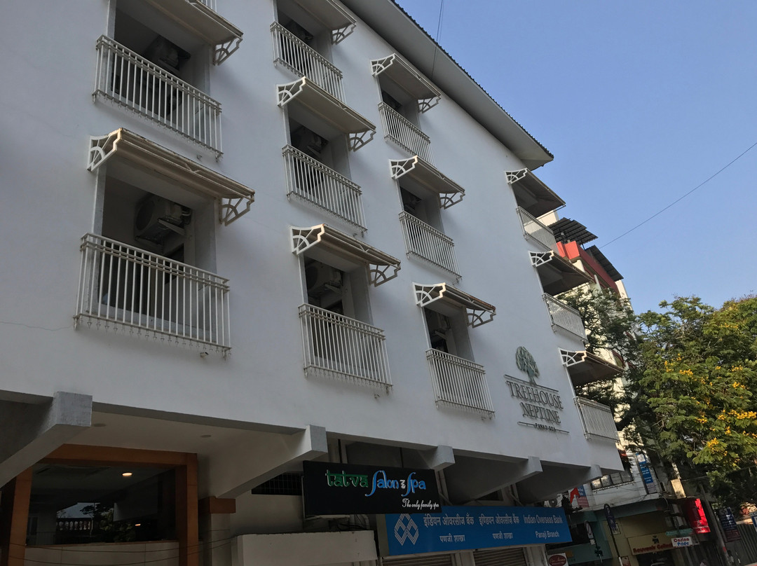 Treehouse Neptune主图