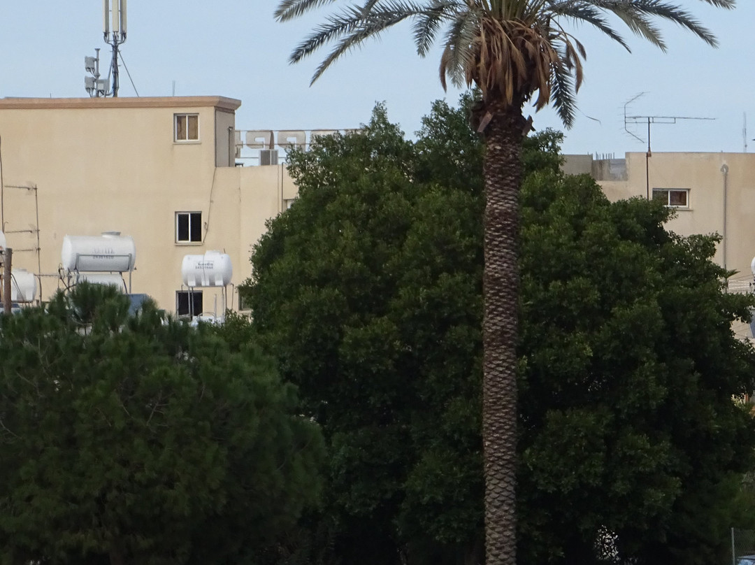 Kition Archaeological Site-拉纳加必去景点