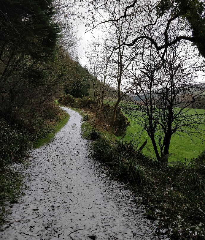 Glenarm forest-Glenarm必去景点