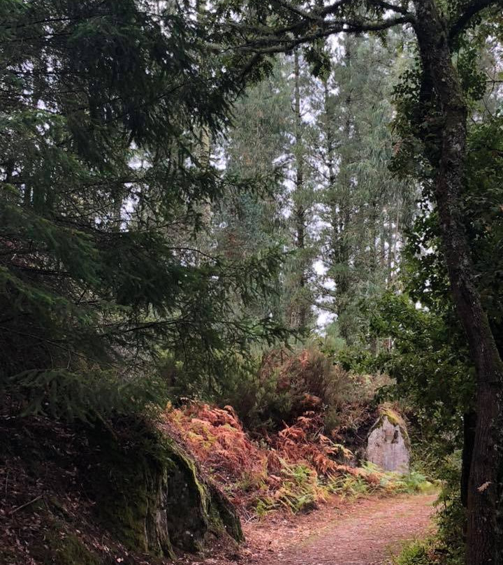 Parque Natural Serra da Encina da Lastra景点图片