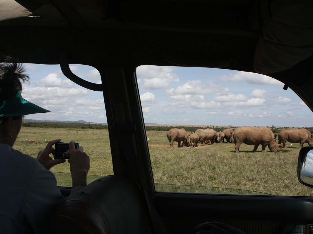Afrolink Adventures-内罗毕必去景点