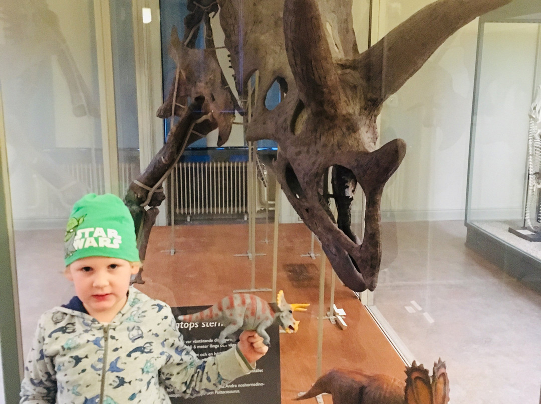 Evolutionsmuseet-乌普萨拉必去景点