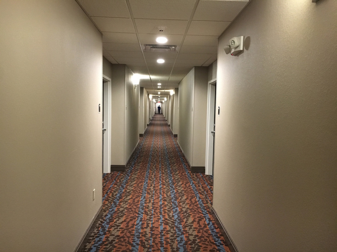 Sleep Inn & Suites Monroe - Woodbury主图