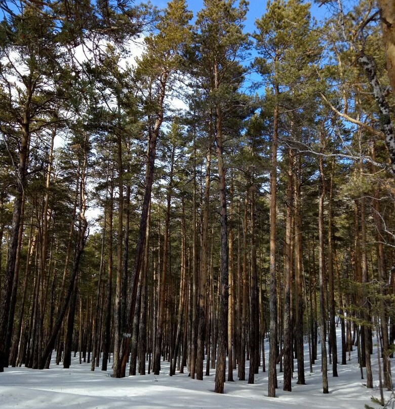 National Park Burabay景点图片