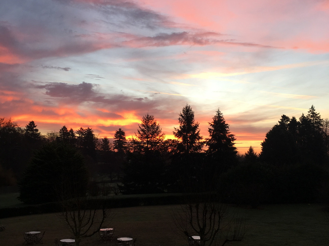 Chateau d'Ardree主图