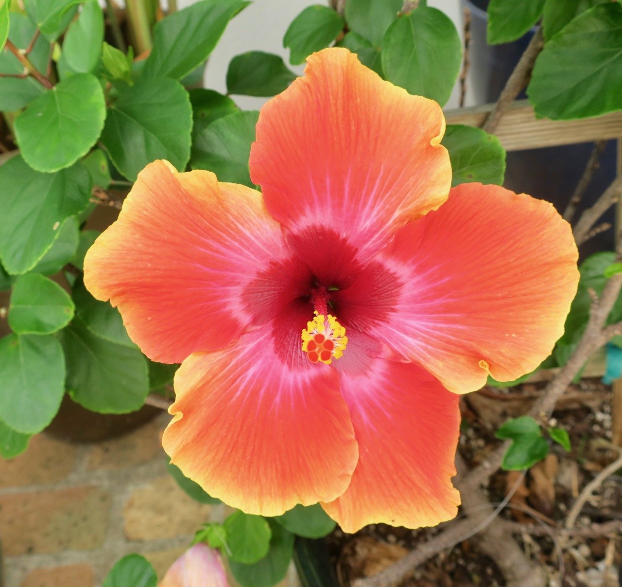 At Home In The Tropics-浴室