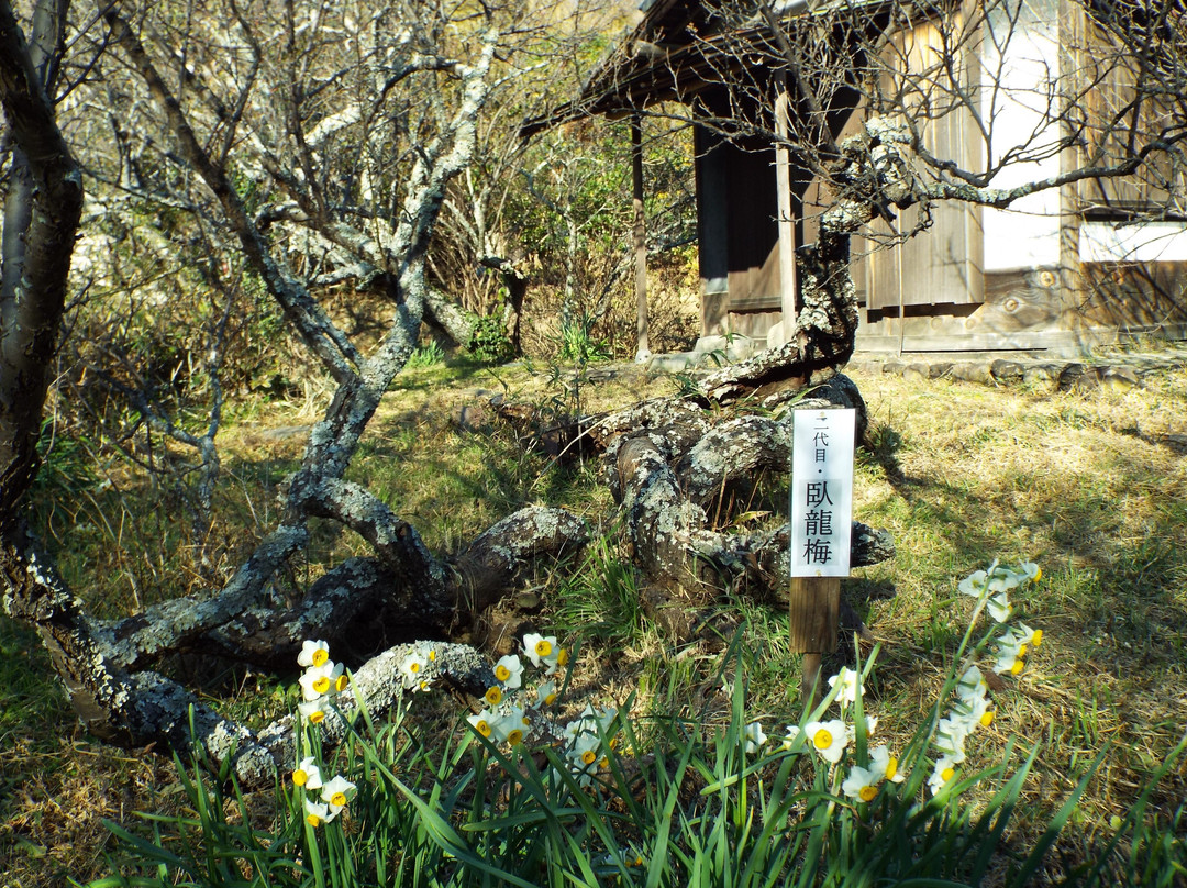 Soho Tokutomi Museum-二宫町必去景点