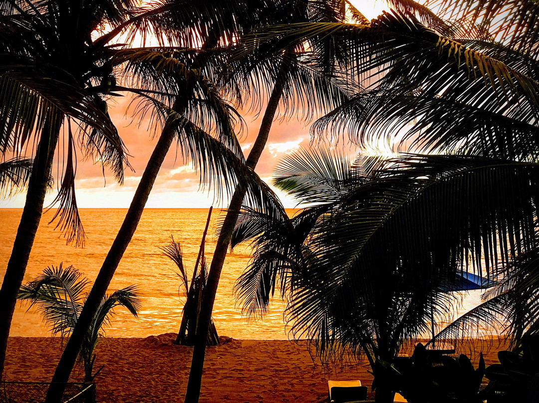 Hotel Coconut Bay主图