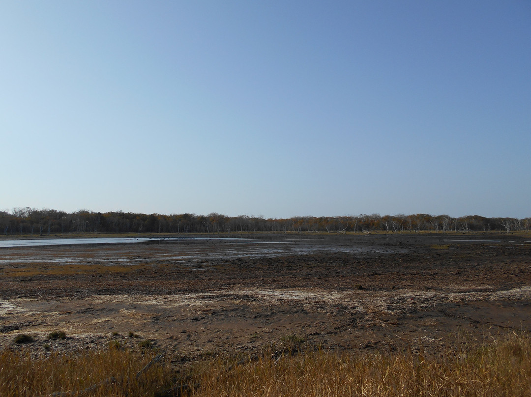 Narawara-别海町必去景点