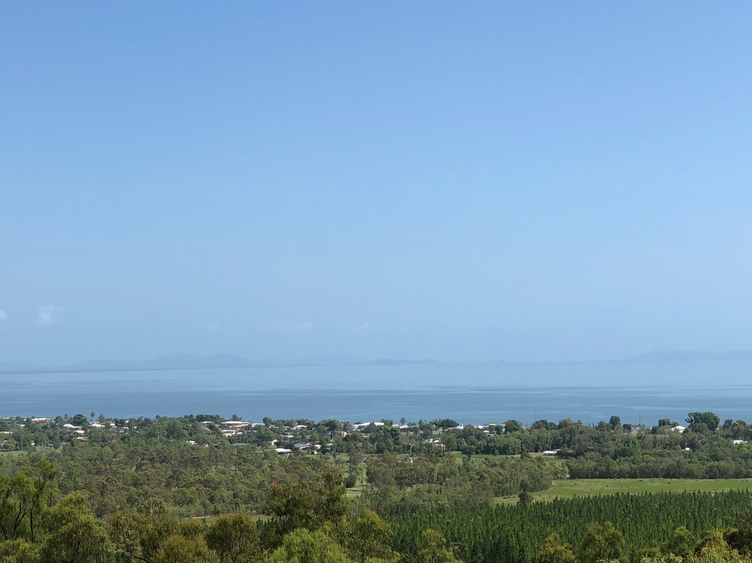 Cardwell Forest Drive-卡德威尔必去景点