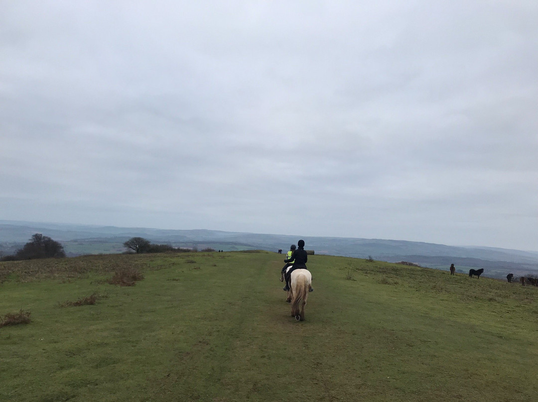 Quantock Trekking景点图片