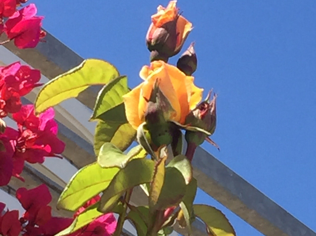 Bed & Breakfast Lezaeta主图