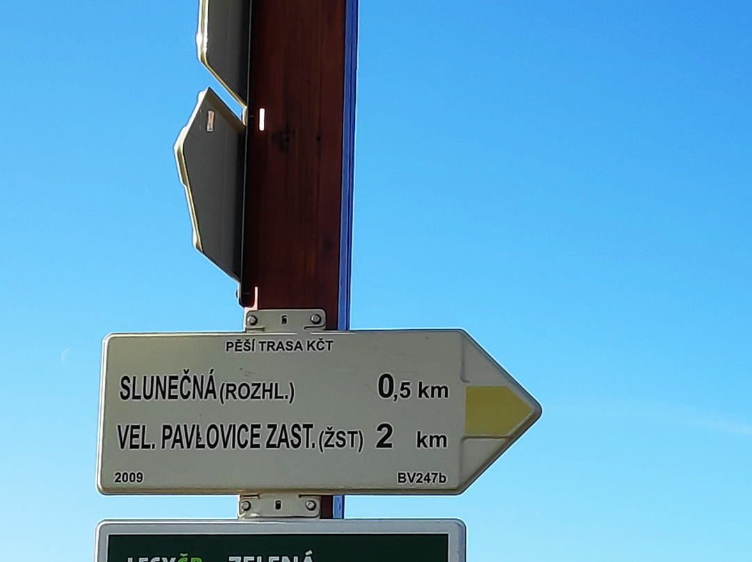 Lookout Mountain Cow-Boretice必去景点