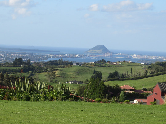 Tauranga Lodge主图