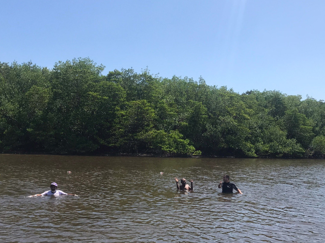 PonoPoint-Eusebio必去景点