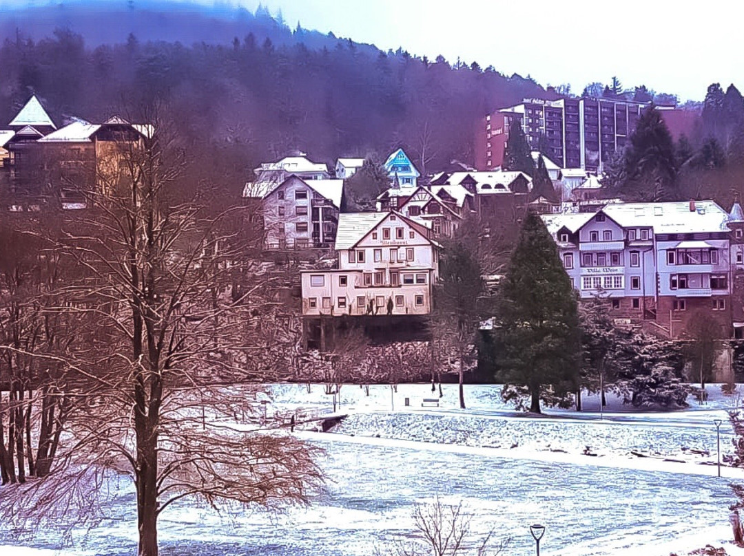 Nashira Kurpark Hotel主图