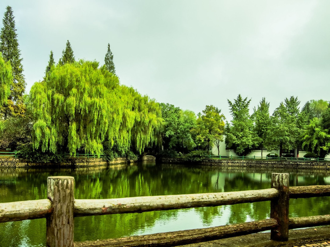 飞霞公园-舒城县必去景点