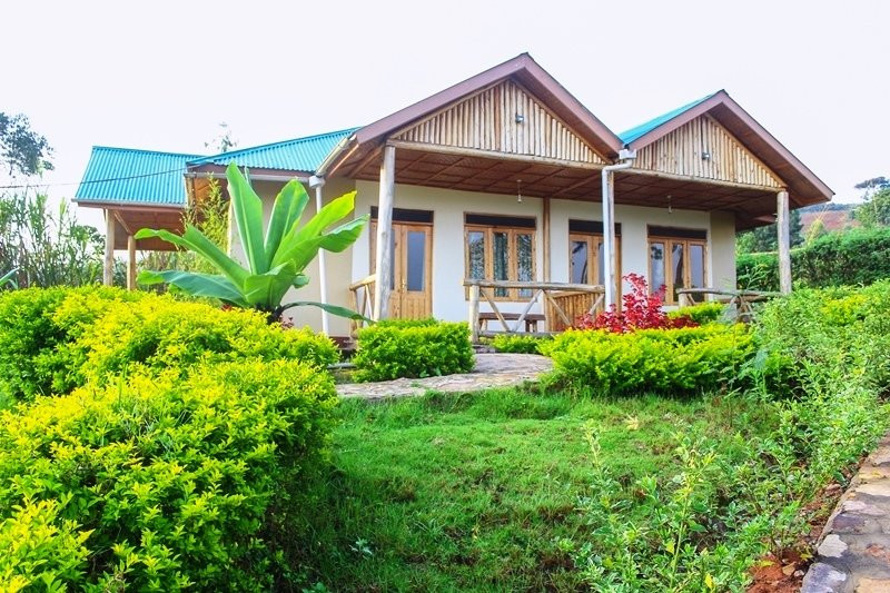 Rushaga Gorilla Haven Lodges