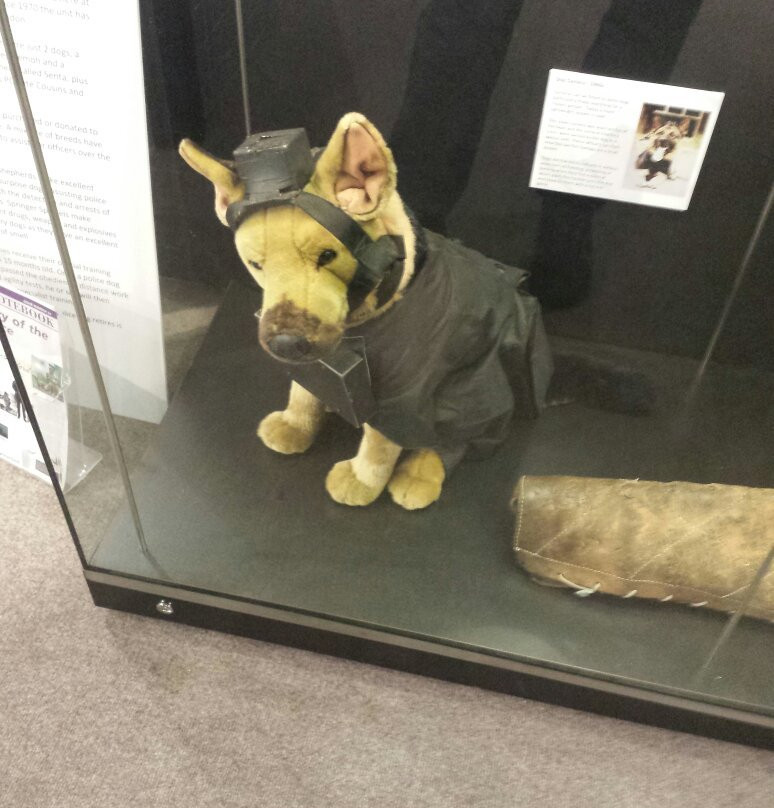 Essex Police Museum景点图片