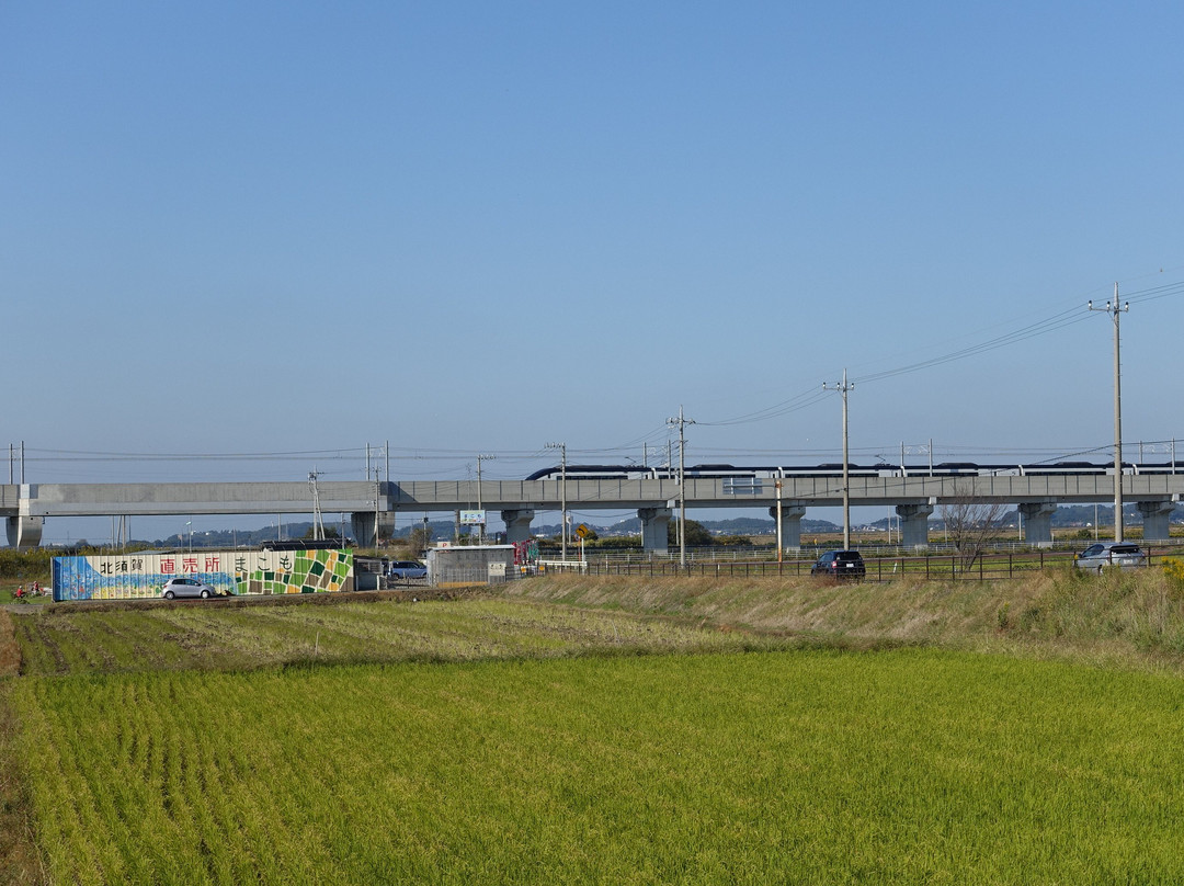 Chiba Inbanuma Park-印西市必去景点