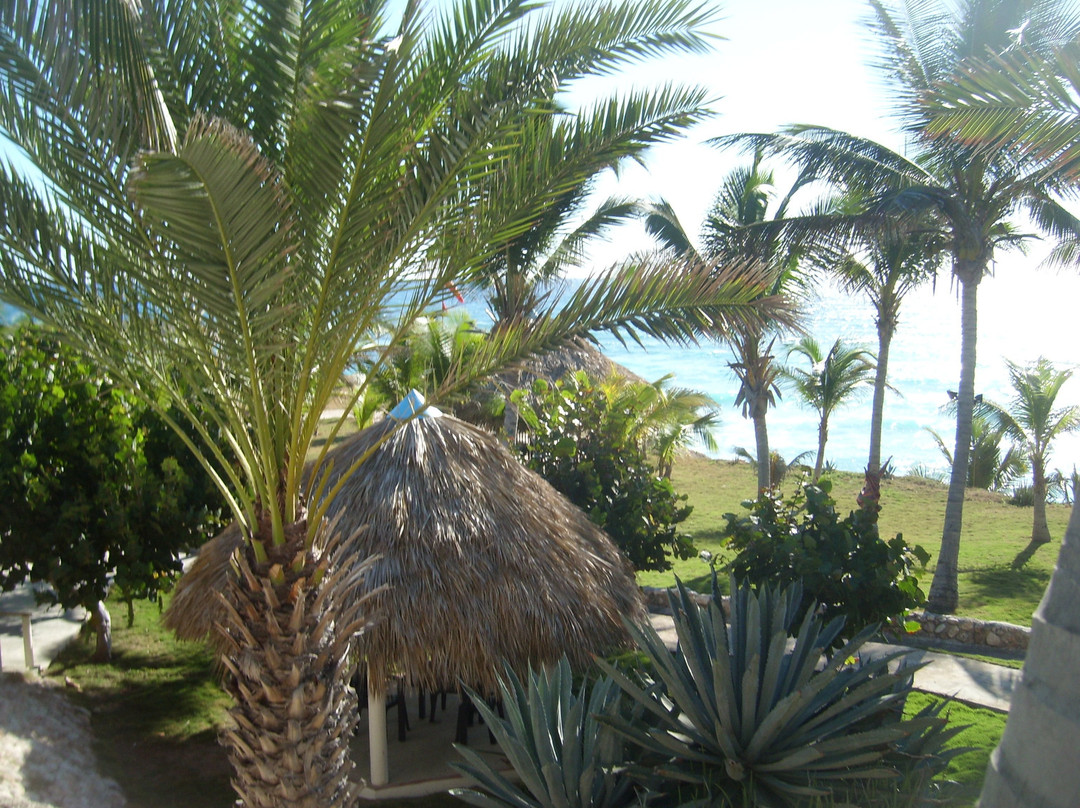 Hotel Playazul主图