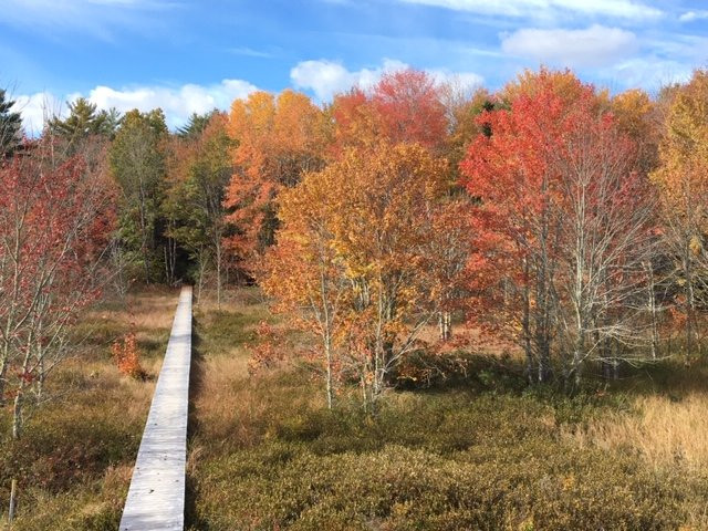 Trout Point Lodge of Nova Scotia主图