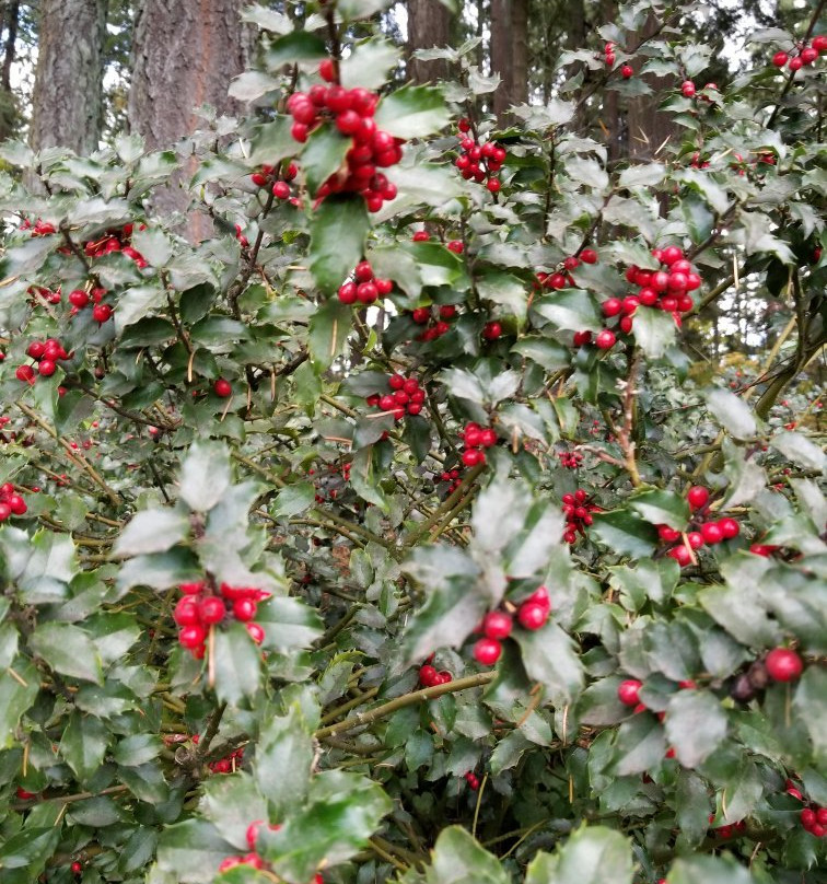 Jenkins Estate-比弗顿必去景点