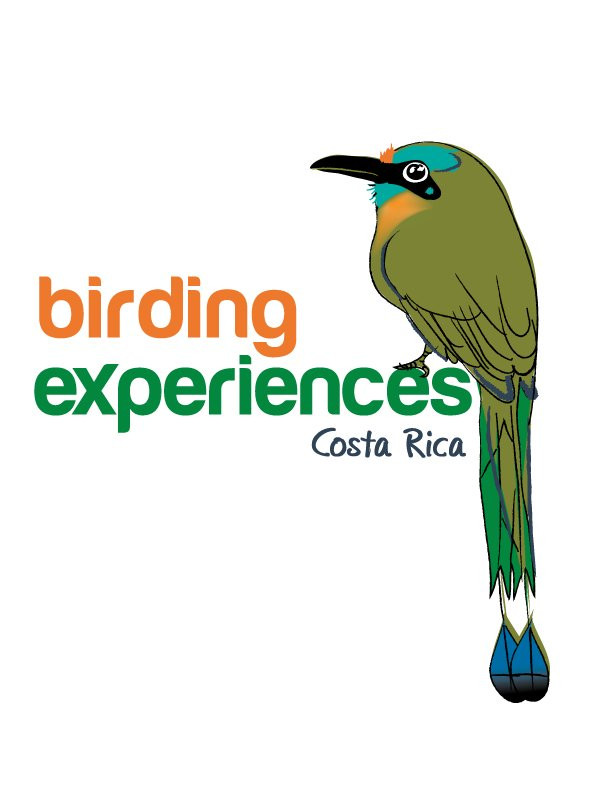 Birding Experiences景点图片