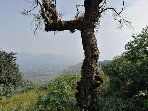 Dhandeghar旅游攻略图片