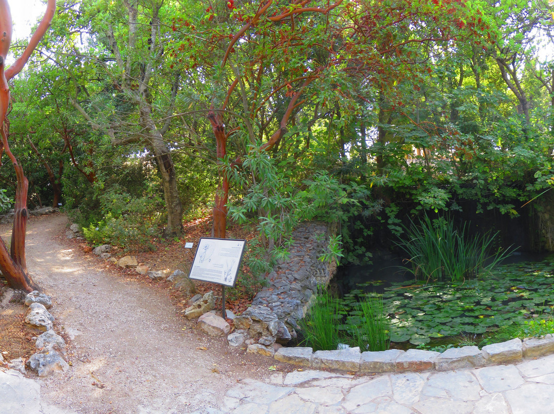 Mount Scopus National Botanical Garden景点图片