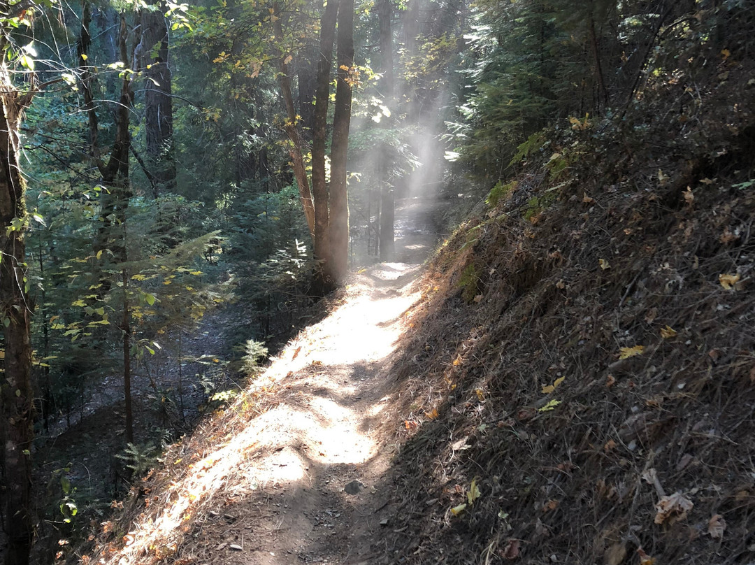 The Downieville Downhill-Downieville必去景点