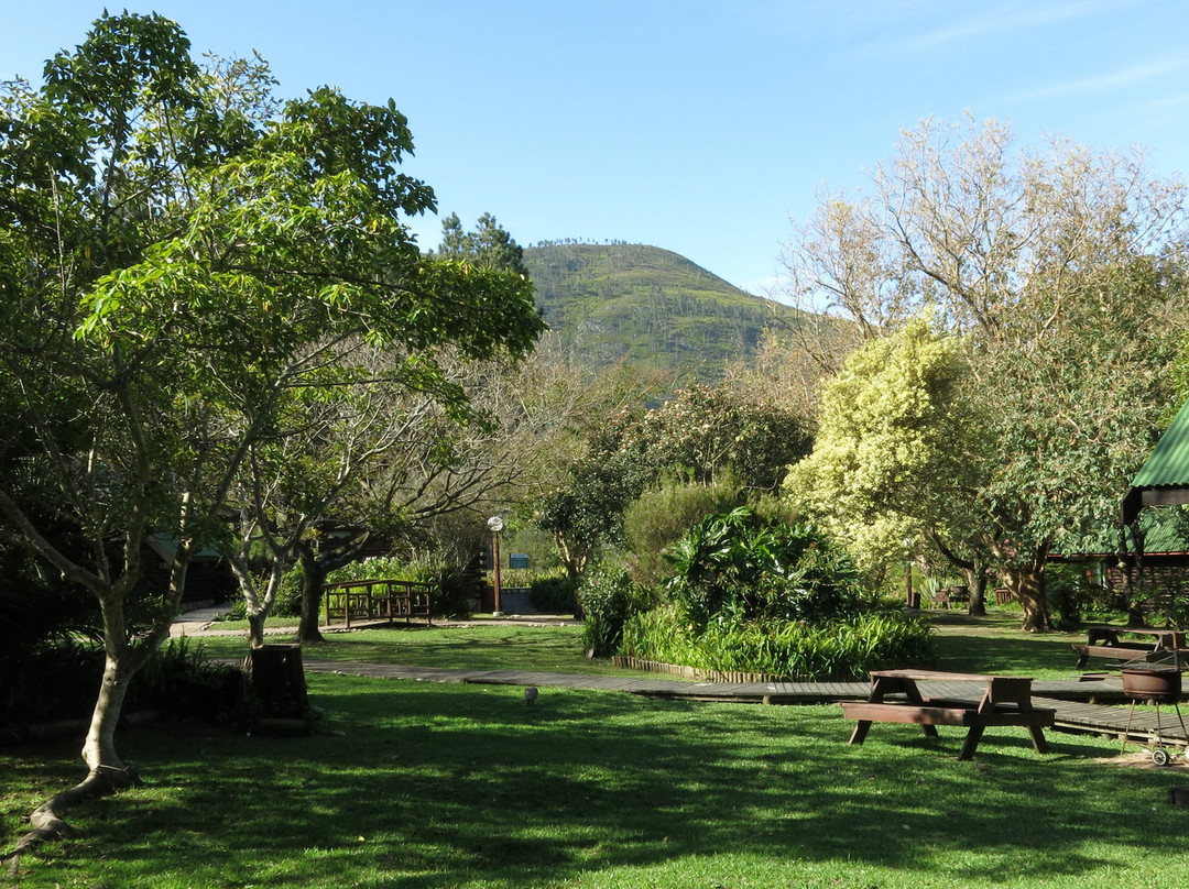 Tsitsikamma Lodge & Spa主图