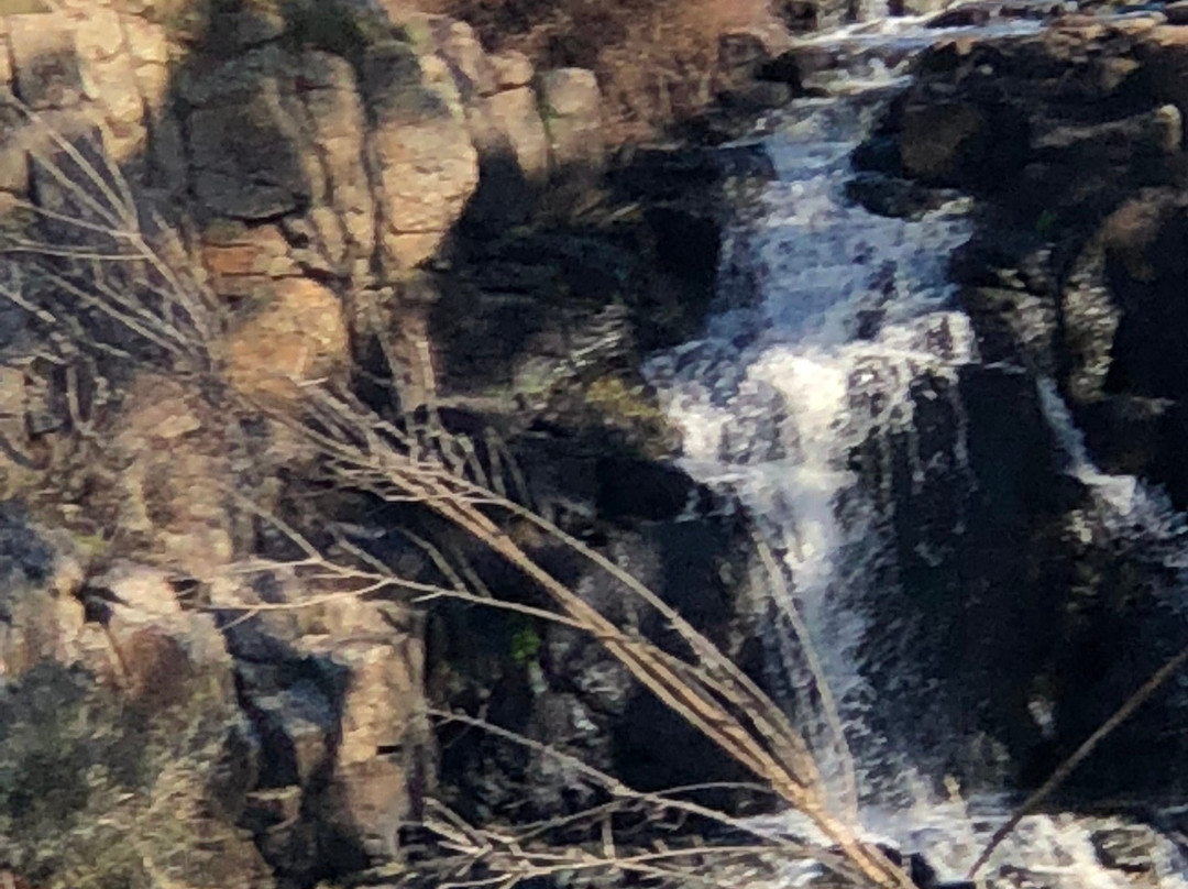 Lal Lal Falls景点图片