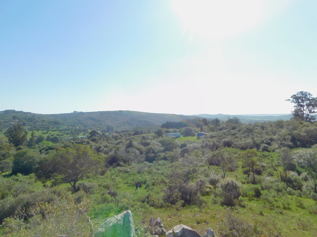 La Calaguala Hostel主图