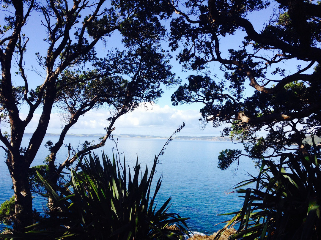 A Coastal Leigh B&B主图